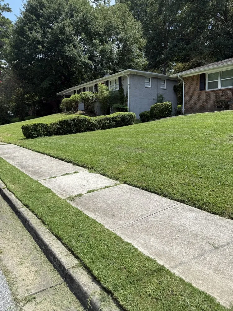 Professional landscaping services in College Park, GA - Division Landscaping