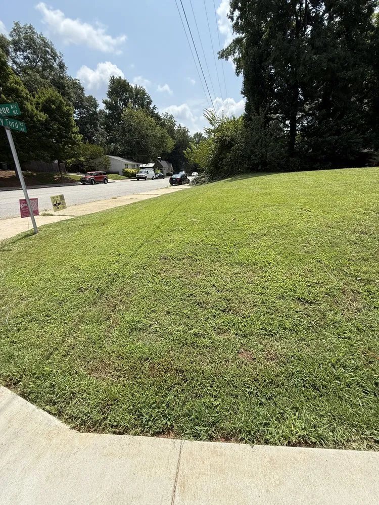 Trusted garden landscaping in College Park, GA by Division Landscaping