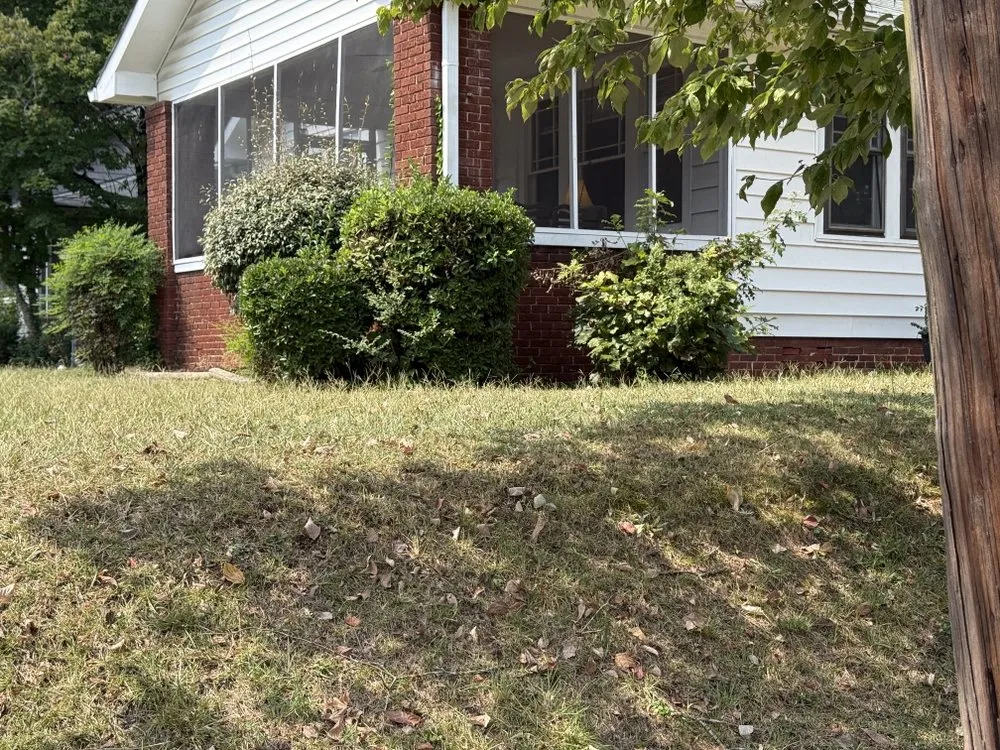 Affordable yard cleanup service experts serving College Park, GA - Division Landscaping