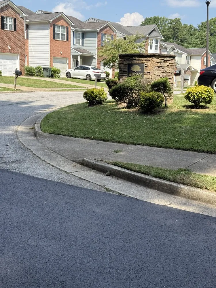 Trusted yard cleanup service with custom design across College Park, GA - Division Landscaping