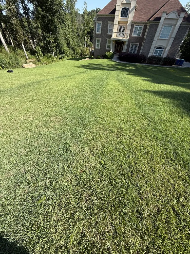 Top-rated garden landscaping near you in College Park, GA by Division Landscaping