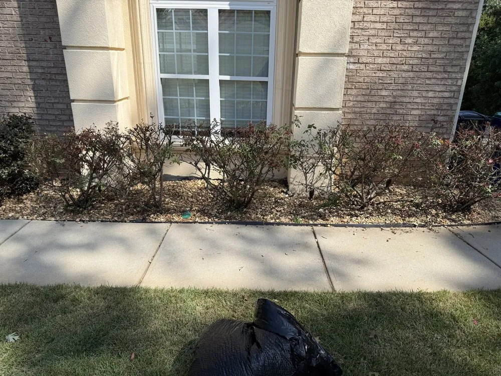 Affordable yard cleanup service in College Park, GA - Division Landscaping