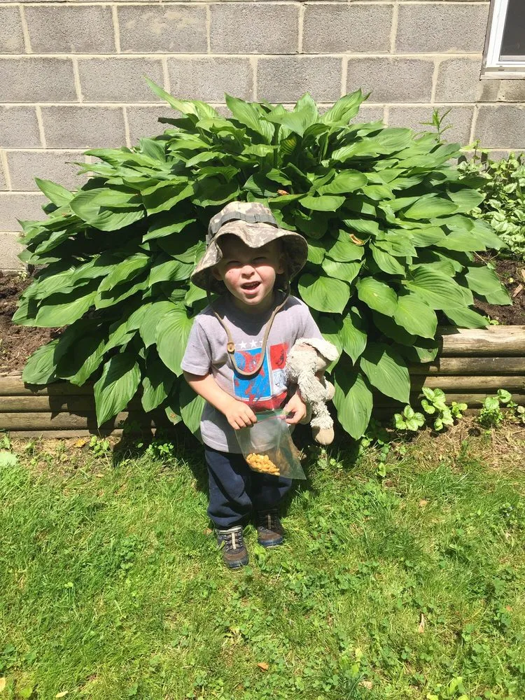 Local landscape design in Kinsman, OH - Divot's Lawn Care