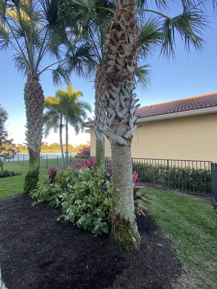 Trusted lawn care service for year-round maintenance across Port St. Lucie, FL - Dix & Sons Landscaping