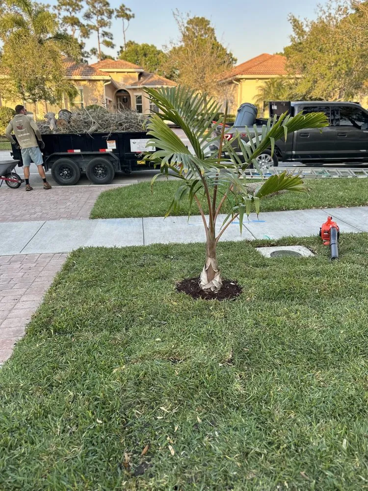 Trusted landscape installation in Port St. Lucie, FL by Dix & Sons Landscaping