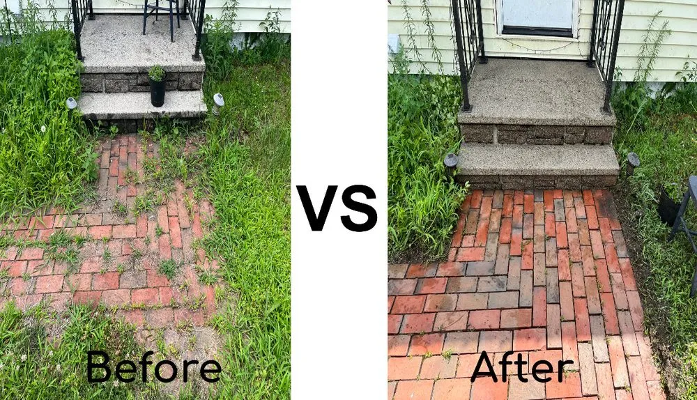 Reliable yard cleanup service in Dixfield, ME - Dixfield Pressure Washing