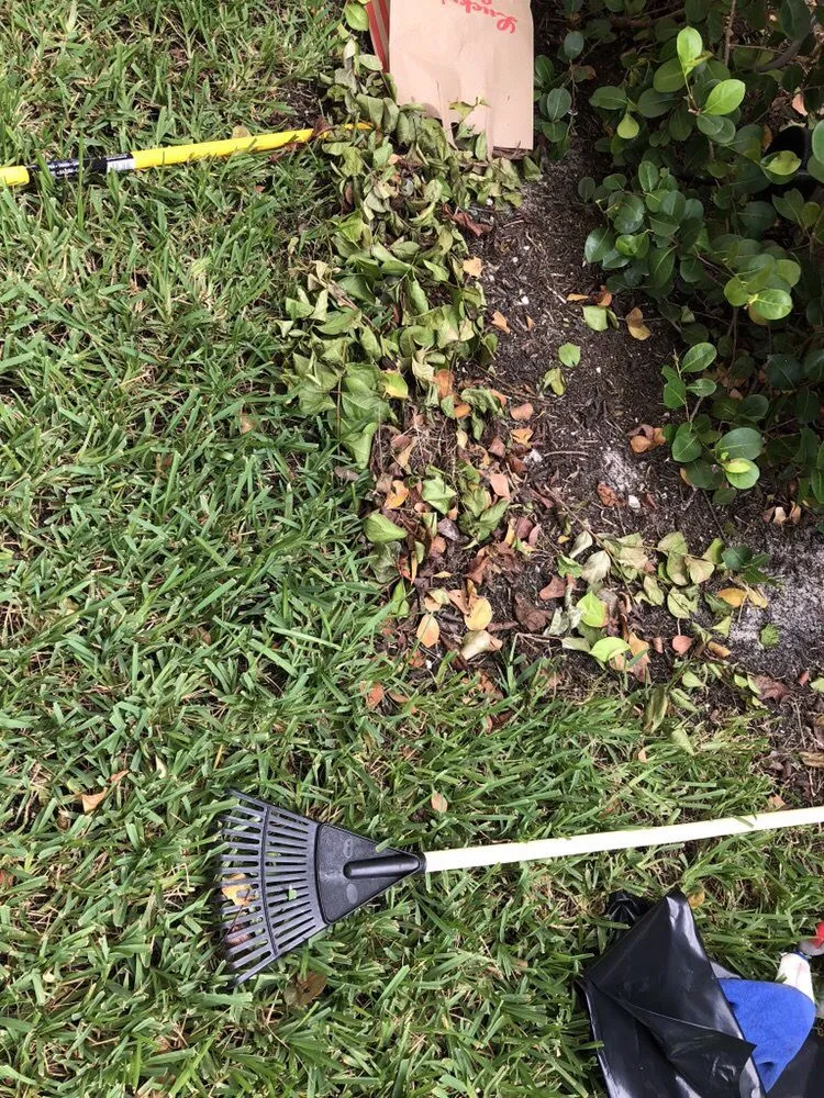 Local landscaping services for residential properties in Medley, FL by Dixie Landscape