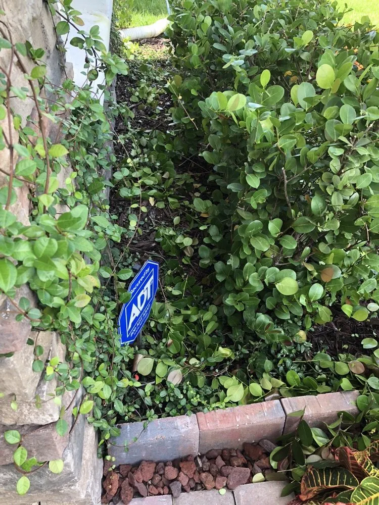 Expert yard cleanup service in Medley, FL - Dixie Landscape