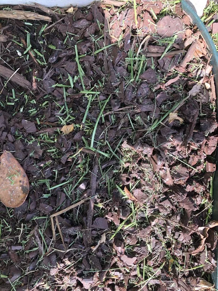 Top-rated outdoor landscaping with custom design across Medley, FL - Dixie Landscape