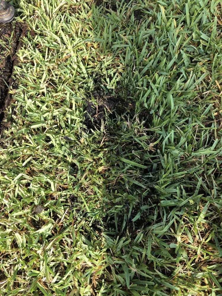 Custom lawn care service in Medley, FL by Dixie Landscape