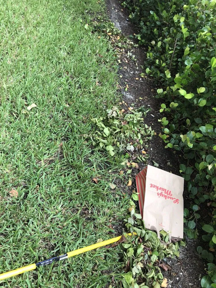 Affordable landscaping services for outdoor upgrades in Medley, FL by Dixie Landscape