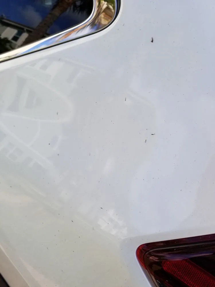 Affordable garden landscaping with custom design across Medley, FL - Dixie Landscape