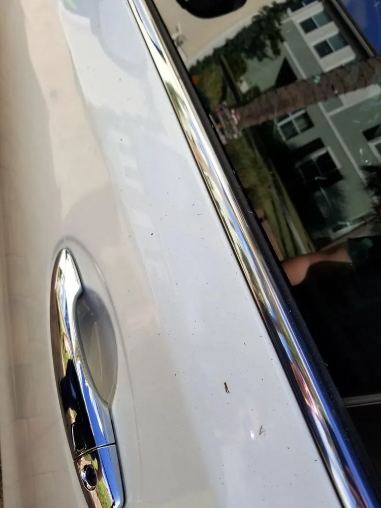 Trusted landscaping services experts serving Medley, FL - Dixie Landscape