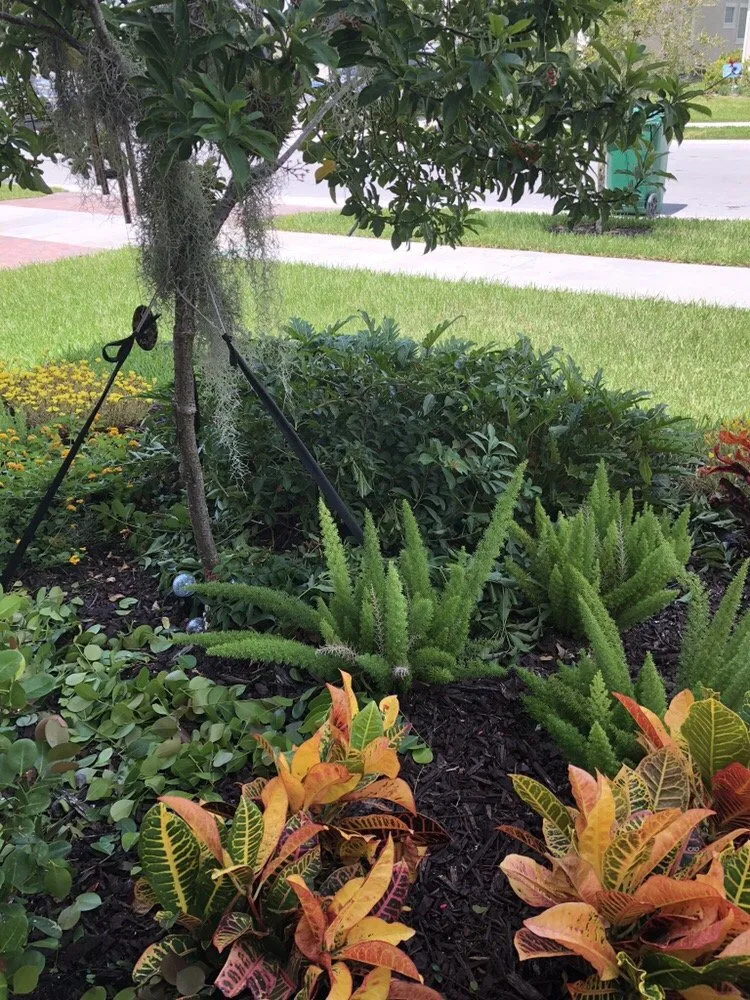Professional landscape installation in Medley, FL - Dixie Landscape