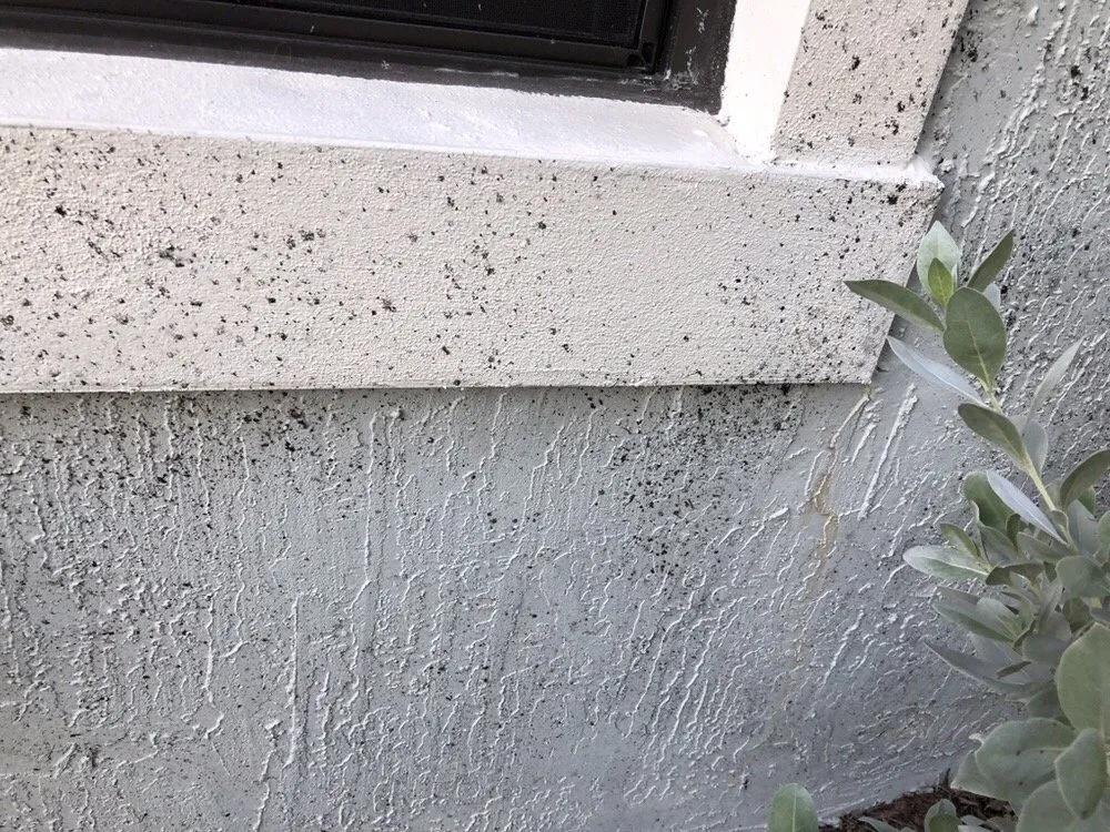 Affordable garden landscaping in Medley, FL - Dixie Landscape