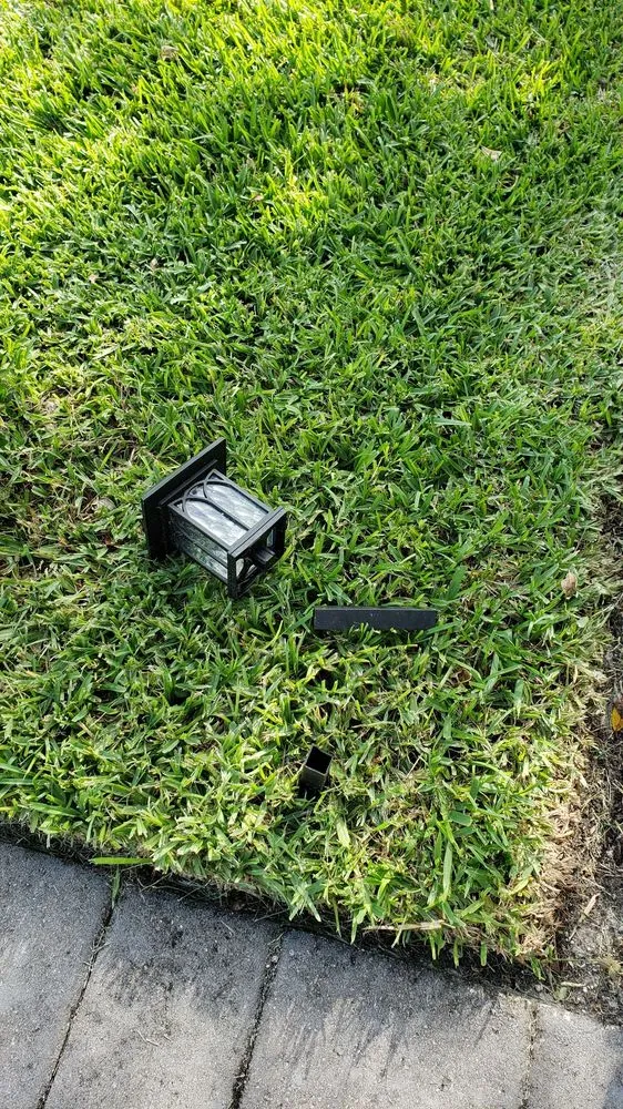 Affordable outdoor landscaping in Medley, FL by Dixie Landscape