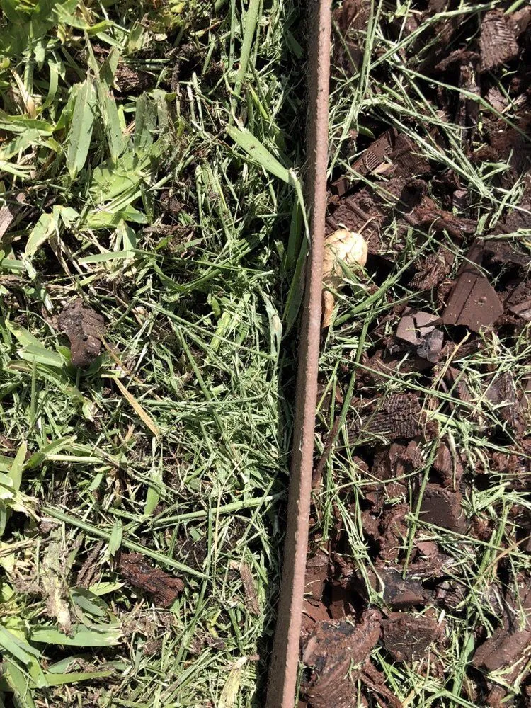 Trusted yard cleanup service for homes in Medley, FL by Dixie Landscape