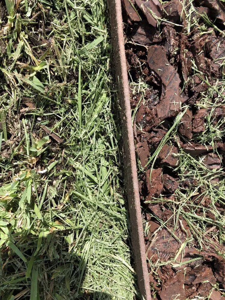 Trusted lawn care service for beautiful yards in Medley, FL by Dixie Landscape