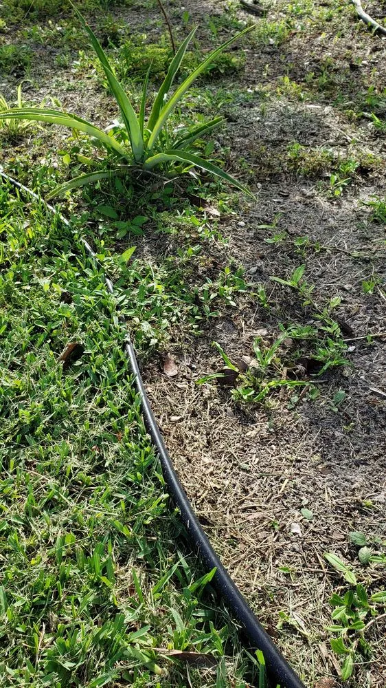 Trusted landscape design in Medley, FL - Dixie Landscape