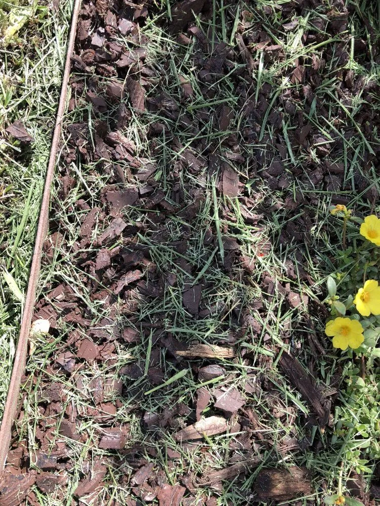 Local outdoor landscaping in Medley, FL by Dixie Landscape