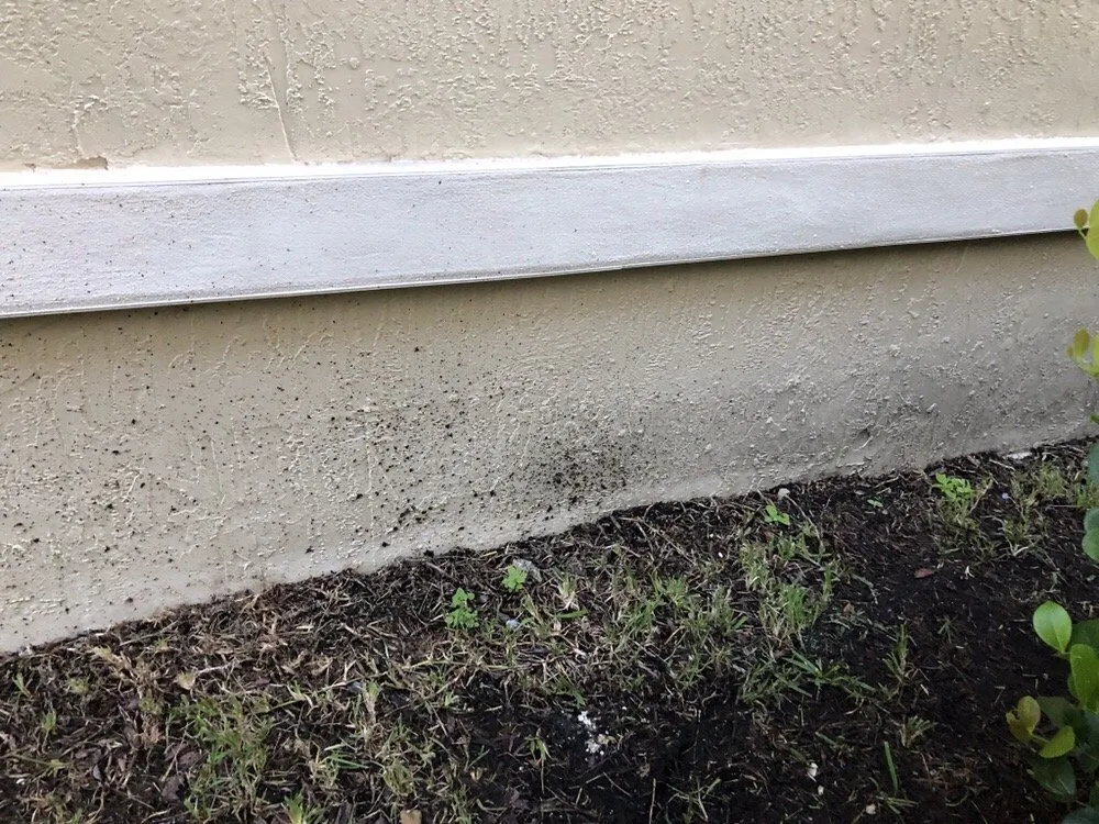 Top-rated lawn care service experts serving Medley, FL - Dixie Landscape