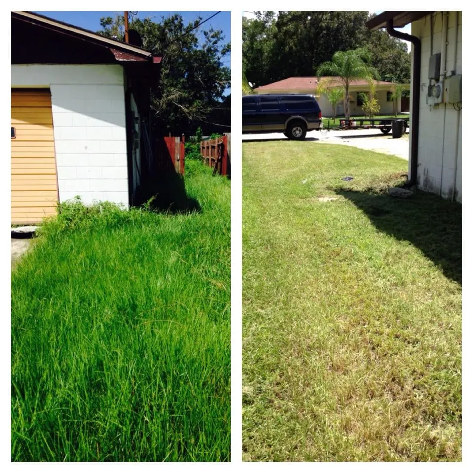 Expert garden landscaping experts serving Plant City, FL - Dixie Outdoors LLC