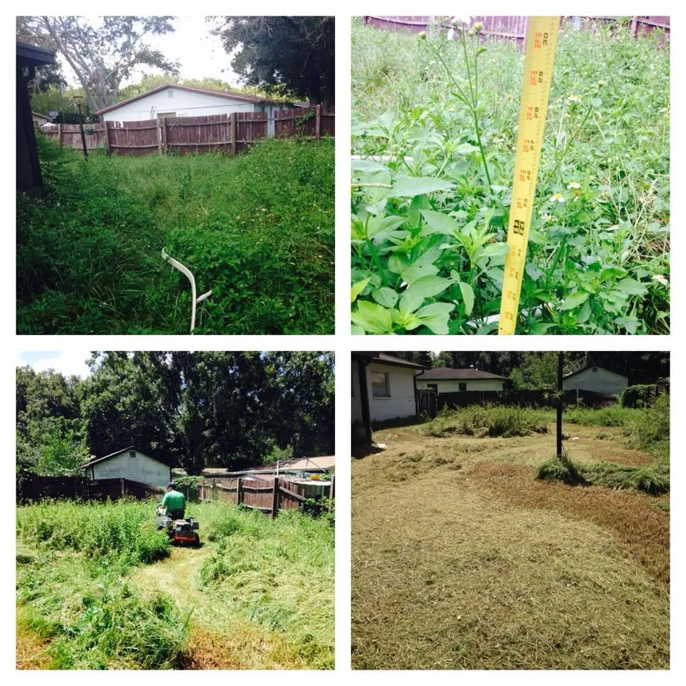 Trusted lawn mowing service experts serving Plant City, FL - Dixie Outdoors LLC