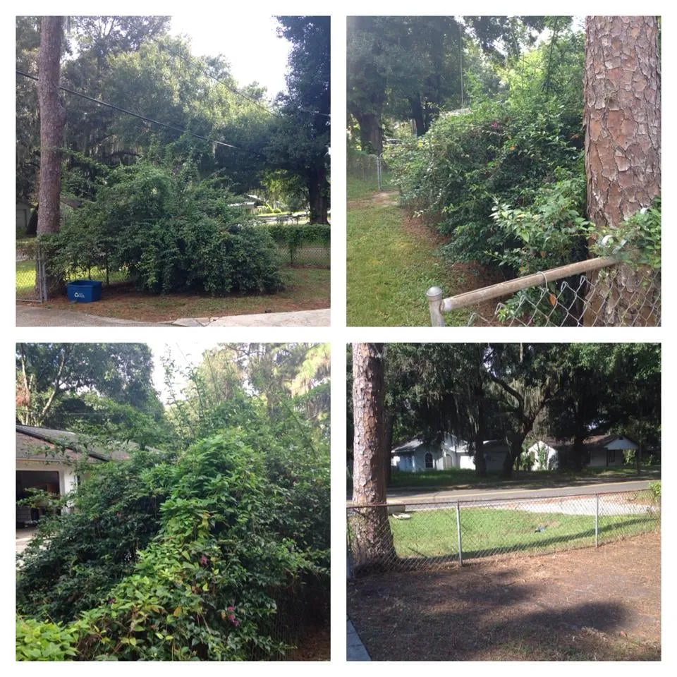 Professional garden landscaping with custom design across Plant City, FL - Dixie Outdoors LLC