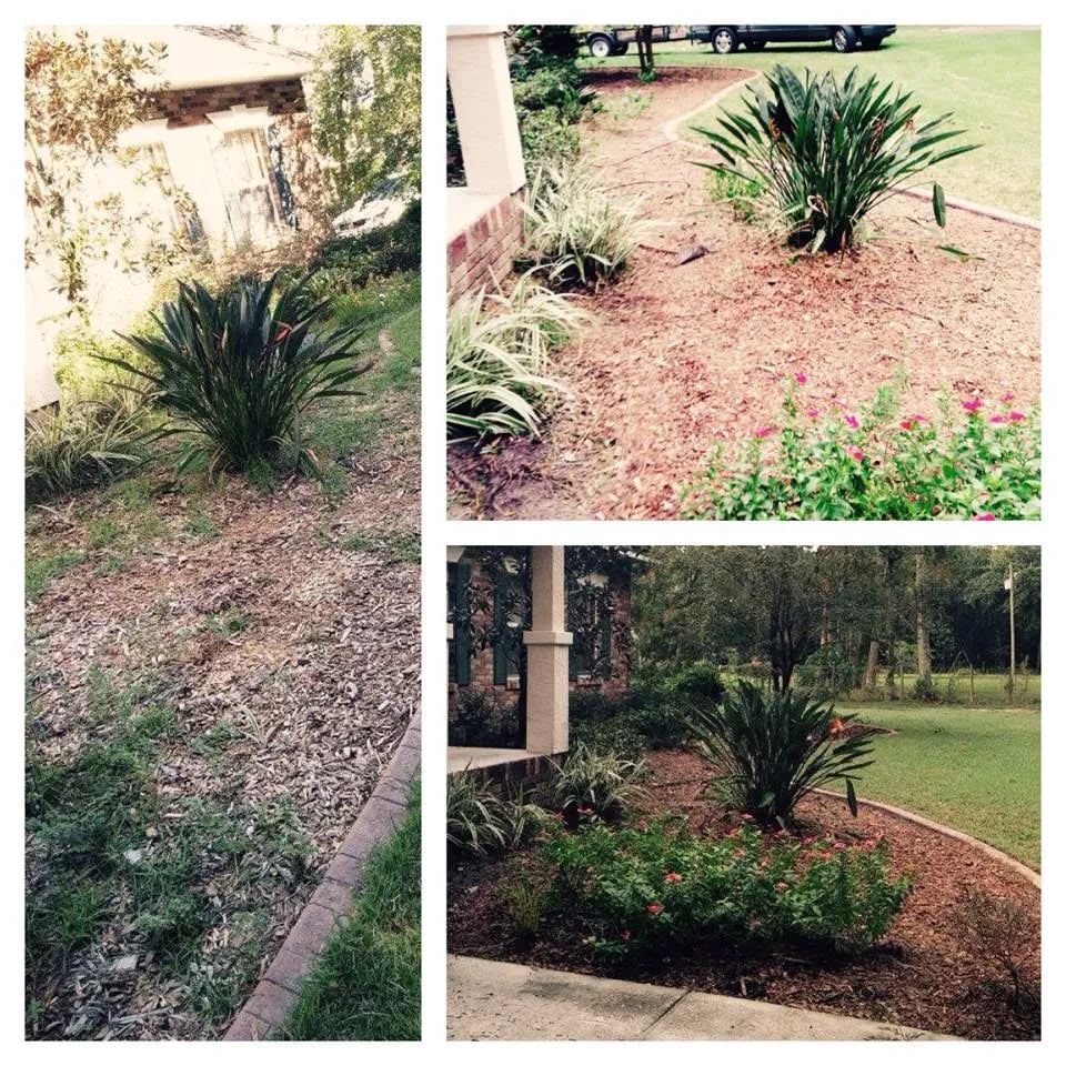 Top-rated residential landscaping in Plant City, FL by Dixie Outdoors LLC