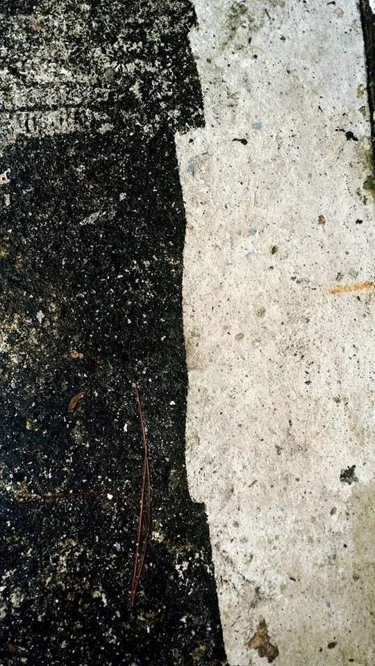 Reliable yard cleanup service in Plant City, FL by Dixie Outdoors LLC