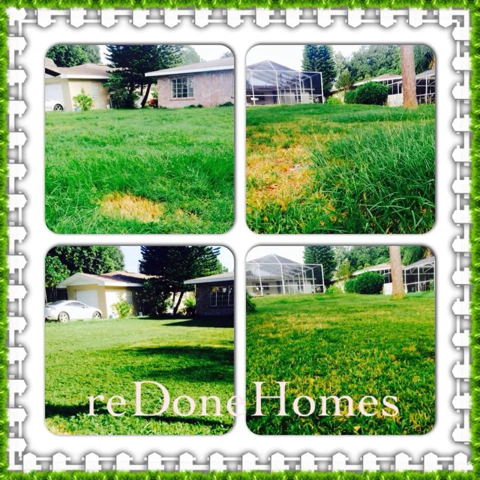 Professional residential landscaping experts serving Plant City, FL - Dixie Outdoors LLC