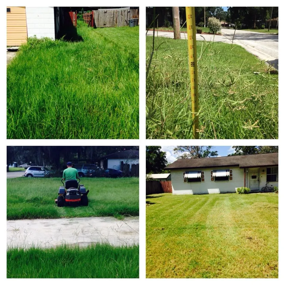 Reliable yard cleanup service for beautiful yards in Plant City, FL by Dixie Outdoors LLC