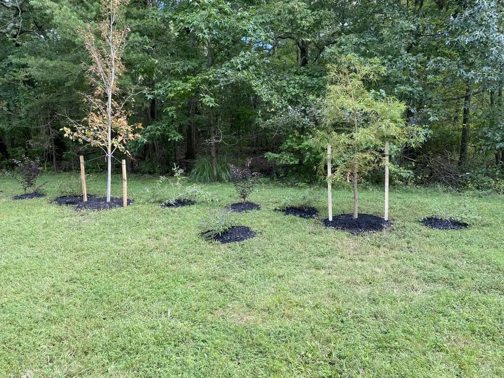 Custom yard maintenance in Randallstown, MD by Dixie's Tree and Landscaping