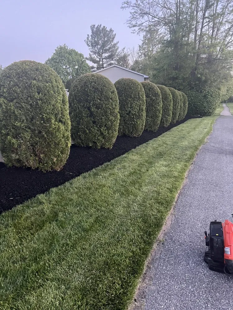 Top-rated residential landscaping in Randallstown, MD - Dixie's Tree and Landscaping