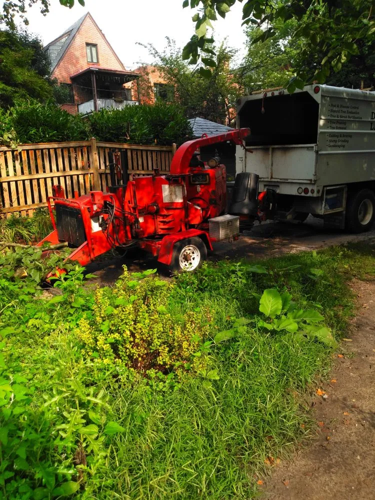 Reliable lawn care service for residential properties across Randallstown, MD - Dixie's Tree and Landscaping