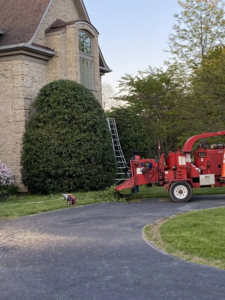 Local outdoor landscaping with custom design in Randallstown, MD by Dixie's Tree and Landscaping