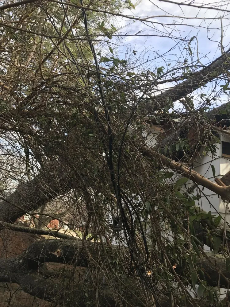 Professional outdoor landscaping for homes in Randallstown, MD by Dixie's Tree and Landscaping