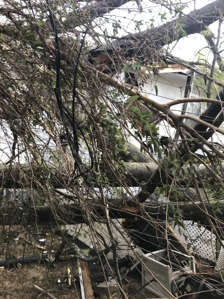 Custom yard maintenance in Randallstown, MD by Dixie's Tree and Landscaping