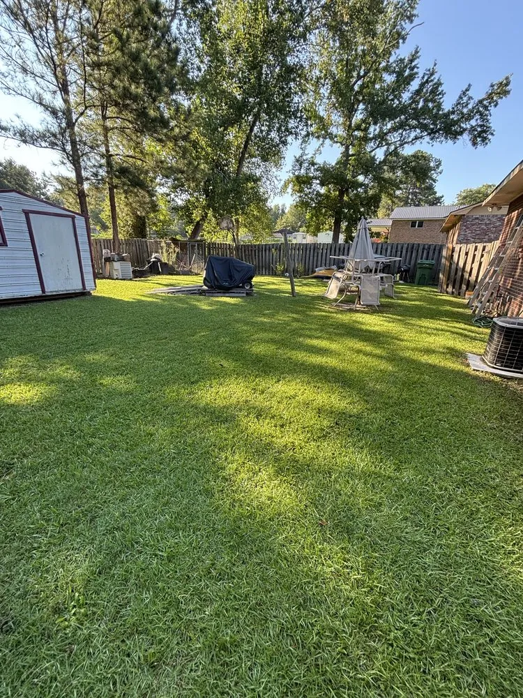 Top-rated landscaping services for year-round maintenance across Columbus, GA - Dixon Elite Landscaping