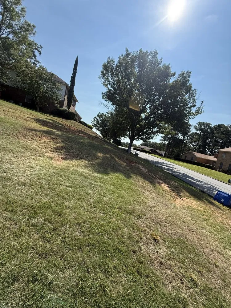 Top-rated landscape design experts serving Columbus, GA - Dixon Elite Landscaping