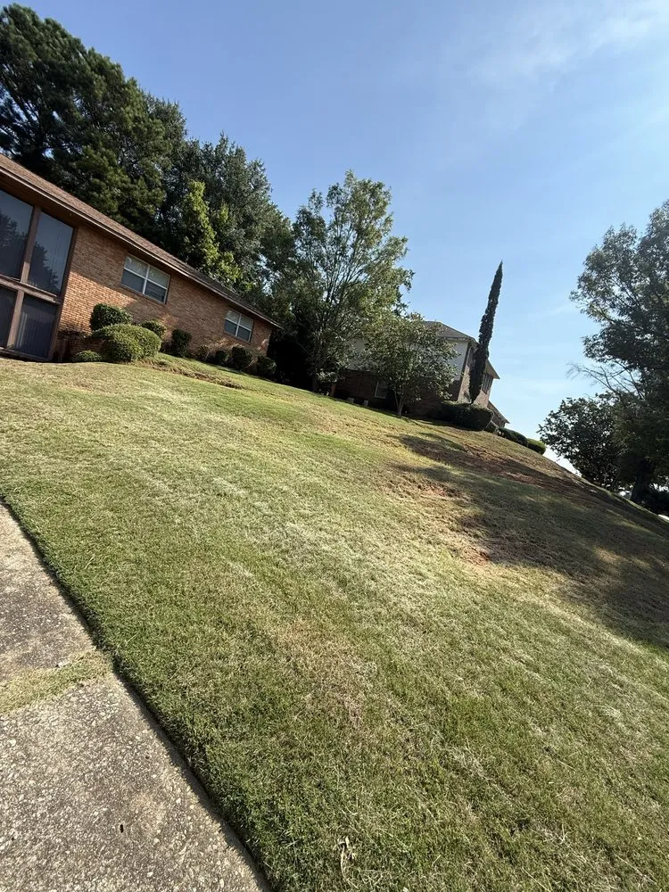 Top-rated garden landscaping experts serving Columbus, GA - Dixon Elite Landscaping