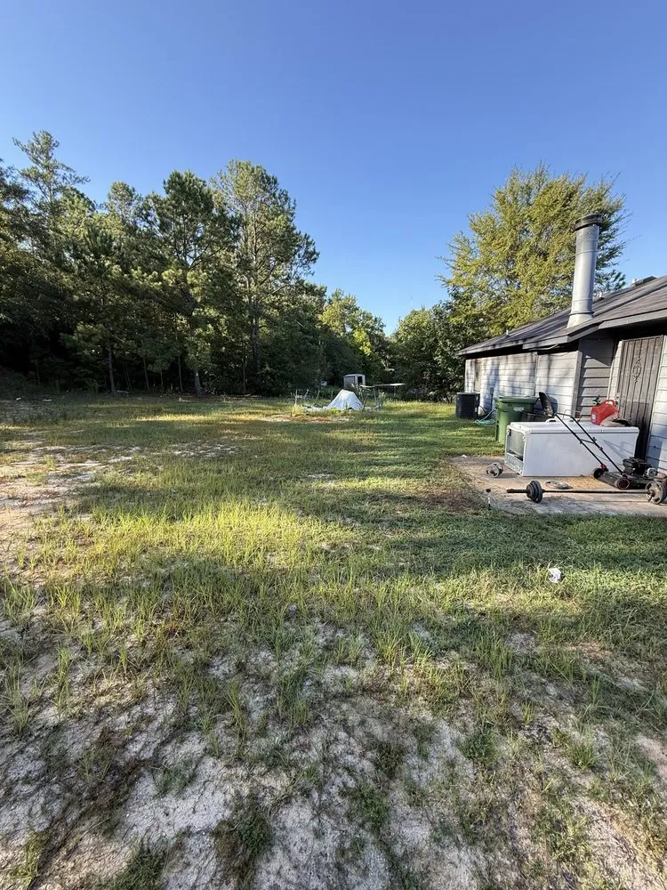 Reliable landscape design for year-round maintenance across Columbus, GA - Dixon Elite Landscaping