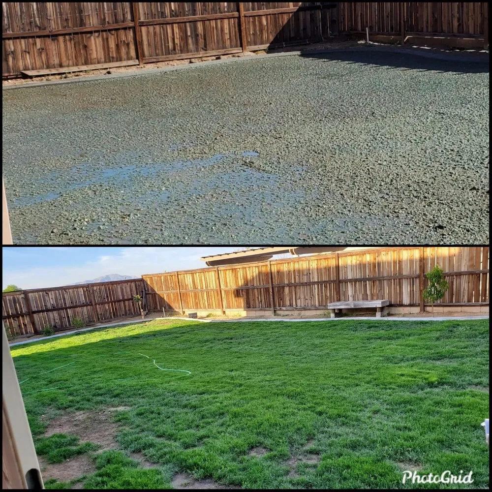 Expert yard maintenance experts serving Hesperia, CA - Dixon Hydroseeding