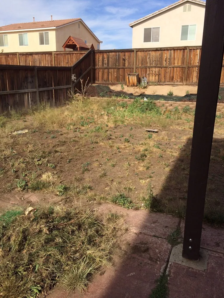 Reliable residential landscaping in Hesperia, CA by Dixon Hydroseeding