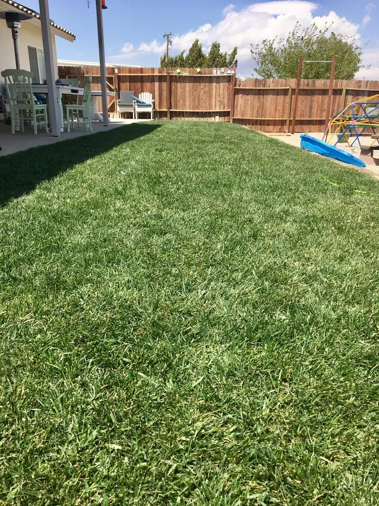 Custom landscape installation experts serving Hesperia, CA - Dixon Hydroseeding