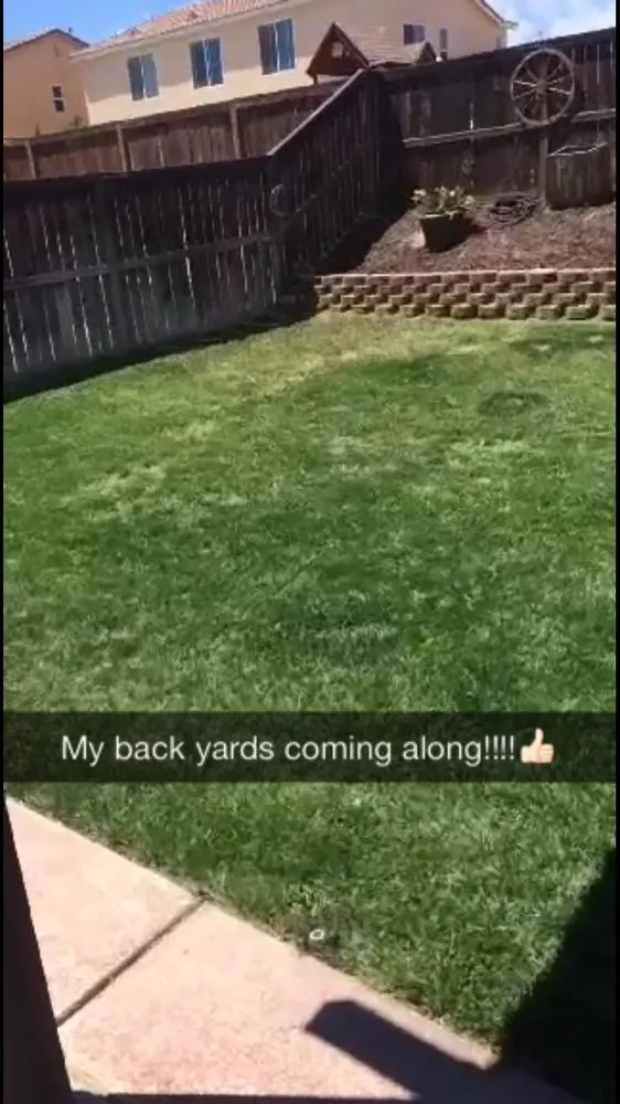 Affordable landscape installation for homes in Hesperia, CA by Dixon Hydroseeding