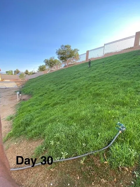 Expert landscape installation in Hesperia, CA - Dixon Hydroseeding