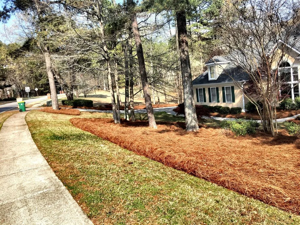 Affordable landscape design with custom design across Canton, GA - Dixon Landscape Services