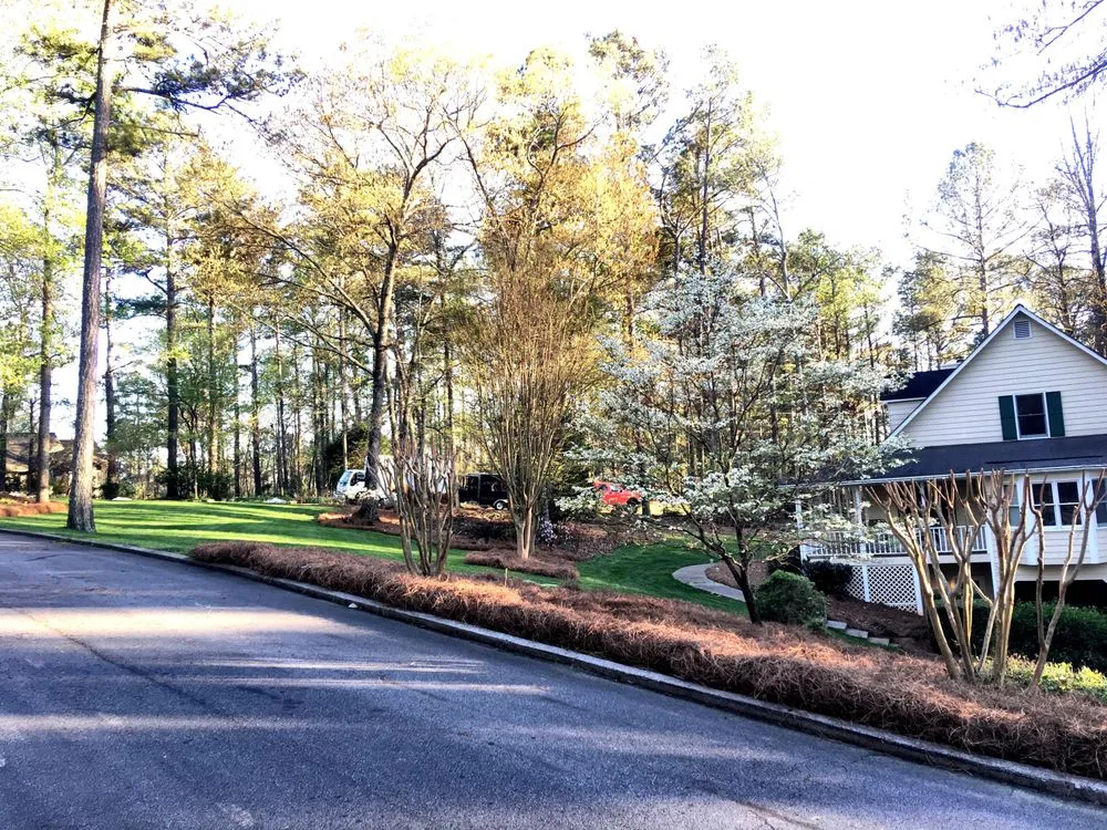 Custom yard cleanup service in Canton, GA - Dixon Landscape Services