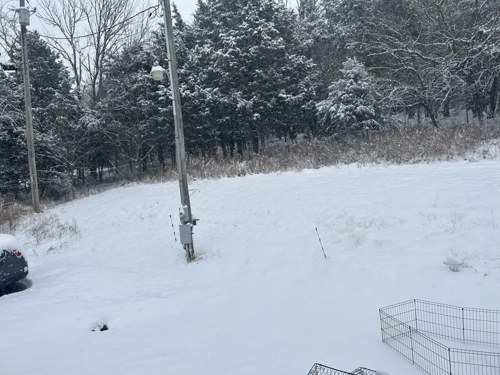 Expert lawn mowing service in Gordonsville, TN - Dixon landscaping